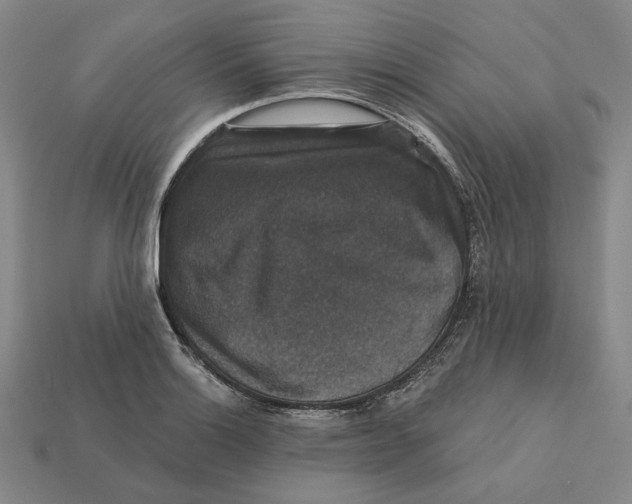 X0000112431132200909111025