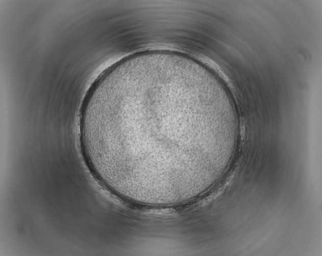 X0000112431133200909111025