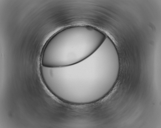 X0000112431134200909111025