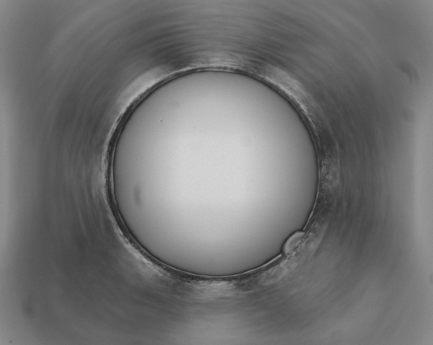 X0000112431135200909111025