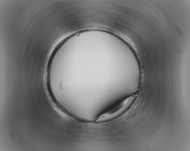 X0000112431136200909111025