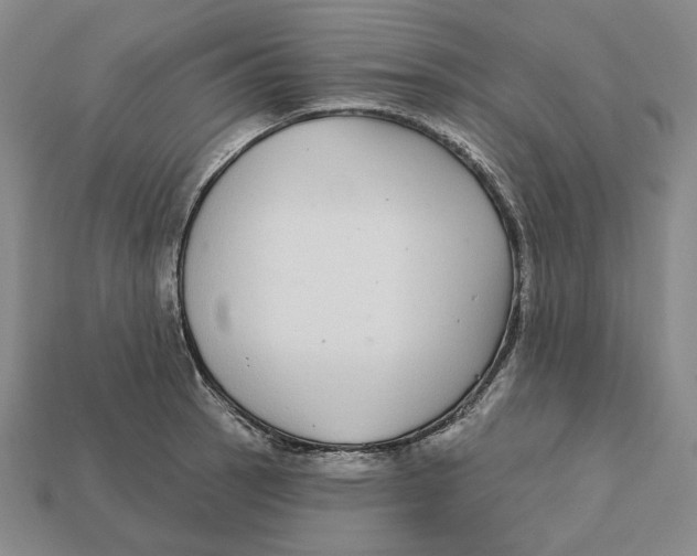 X0000112431137200909111025