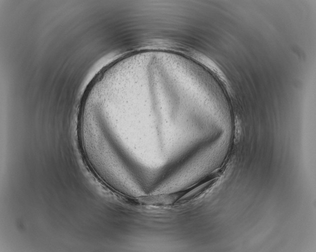 X0000112431138200909111025