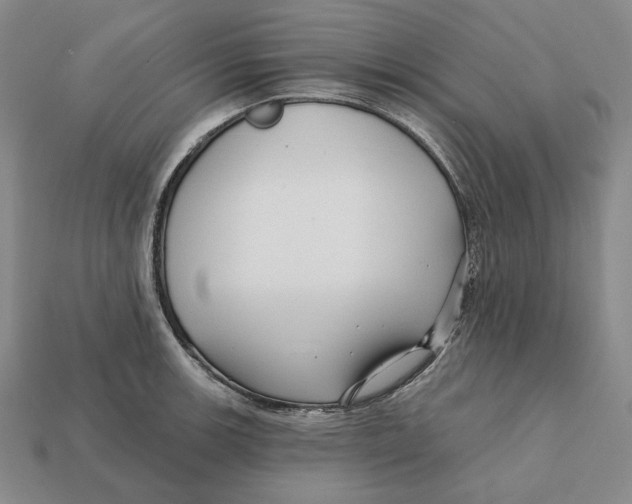 X0000112431139200909111025