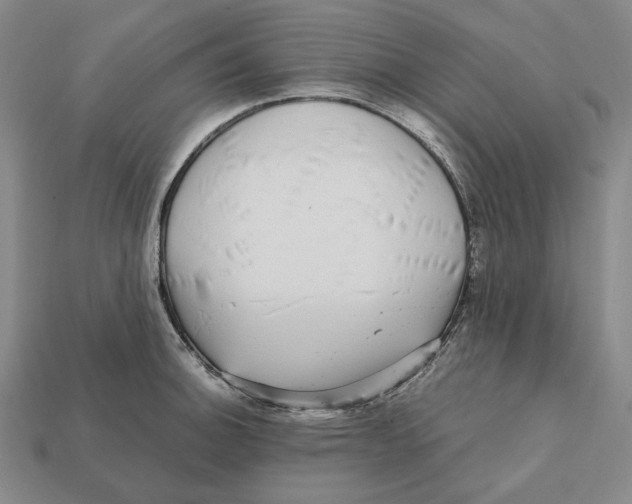 X0000112431140200909111025