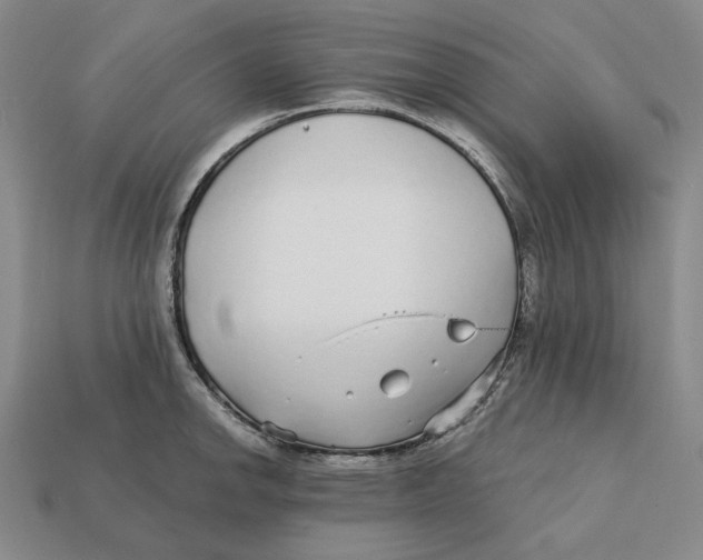 X0000112431142200909111025