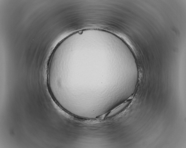 X0000112431143200909111025