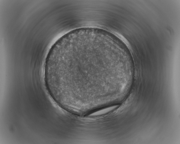X0000112431144200909111025