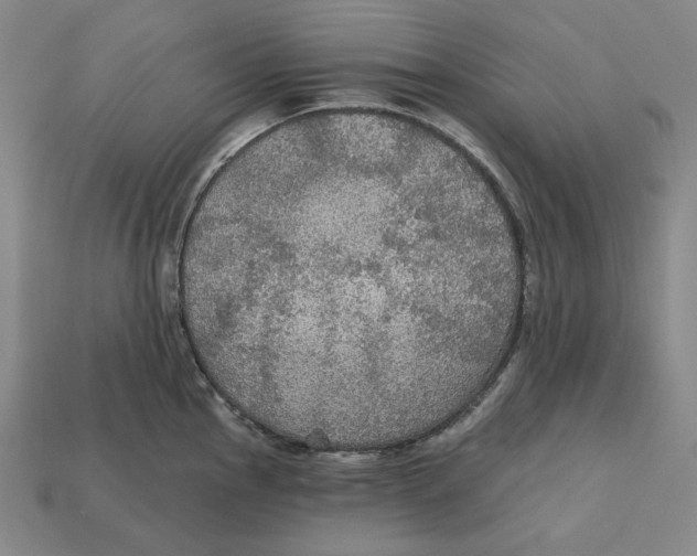 X0000112431145200909111025