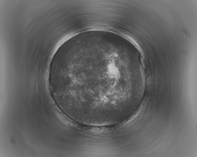 X0000112431146200909111025