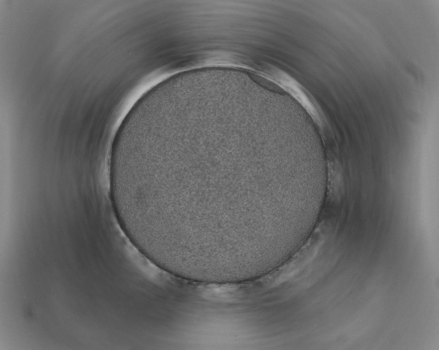 X0000112431148200909111025
