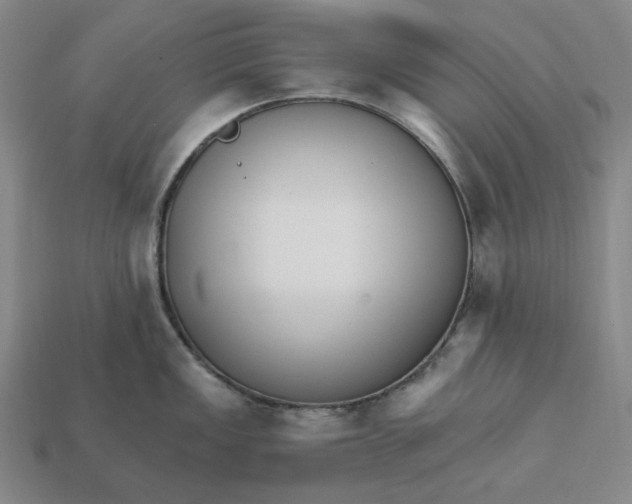 X0000112431149200909111025