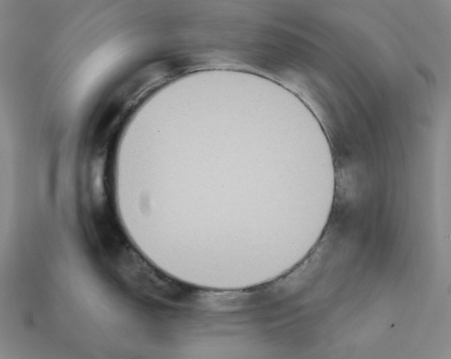 X0000112431150200909111025