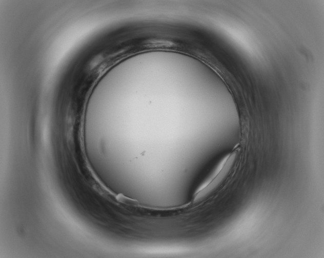 X0000112431151200909111025