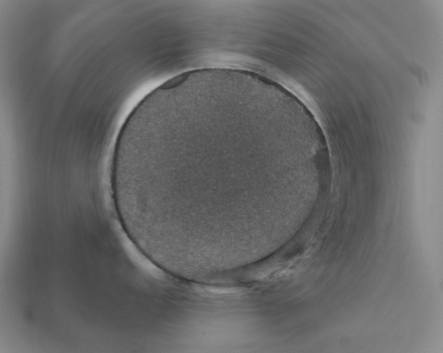 X0000112431152200909111025