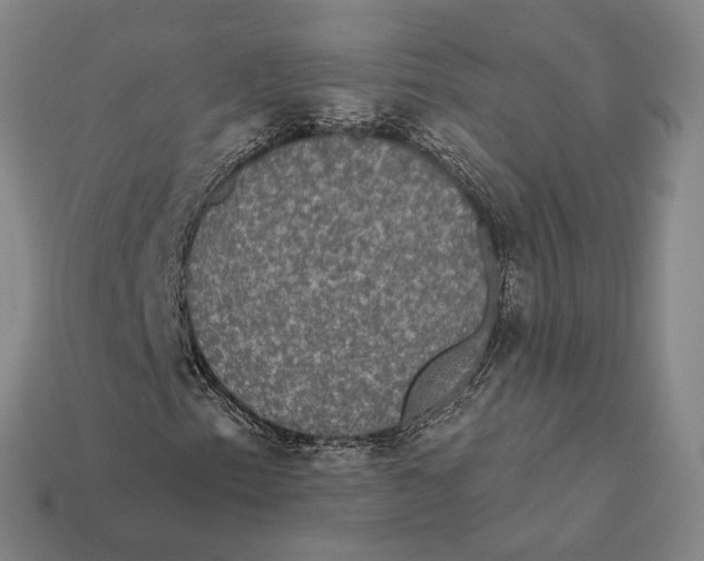 X0000112431153200909111024