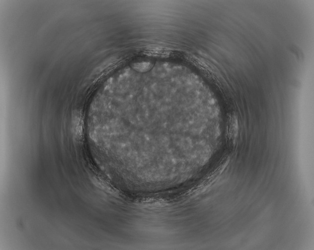 X0000112431154200909111024