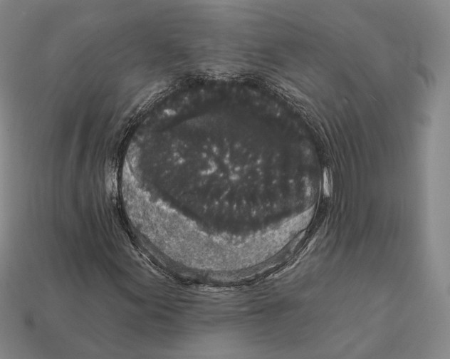 X0000112431155200909111024