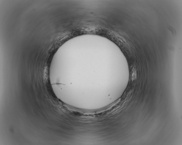 X0000112431156200909111024