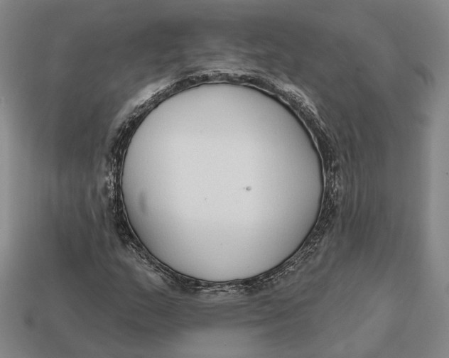 X0000112431159200909111024