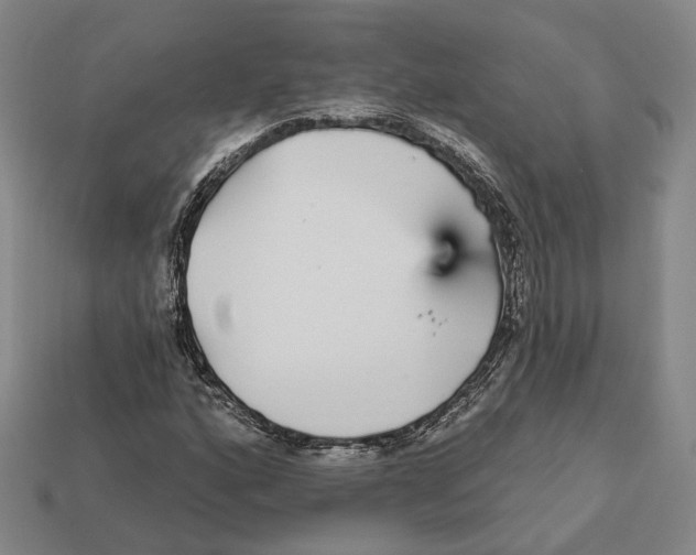 X0000112431160200909111024