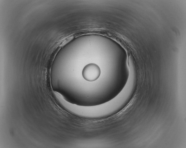 X0000112431161200909111024