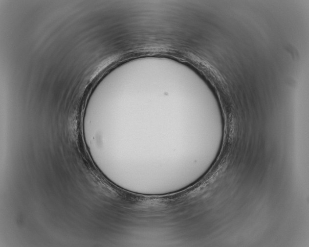 X0000112431162200909111024