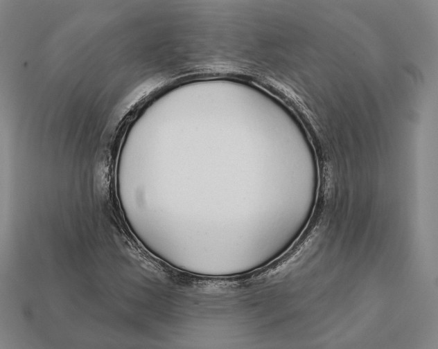 X0000112431163200909111024