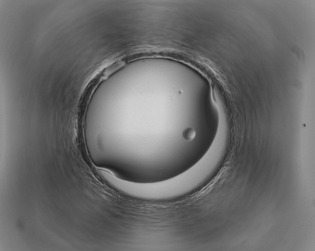 X0000112431165200909111024