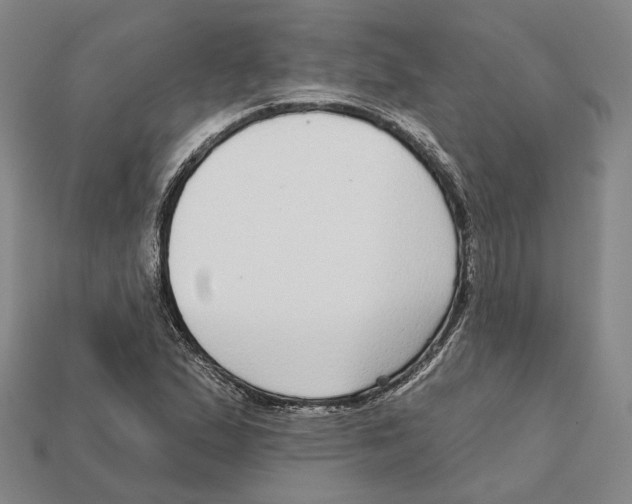 X0000112431167200909111024