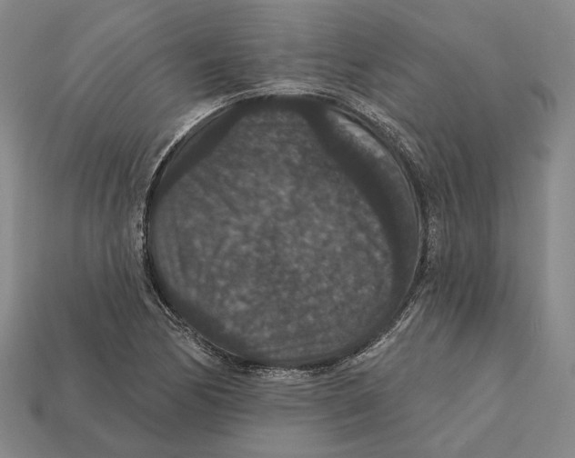 X0000112431170200909111024