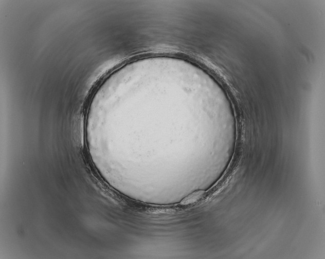 X0000112431171200909111024