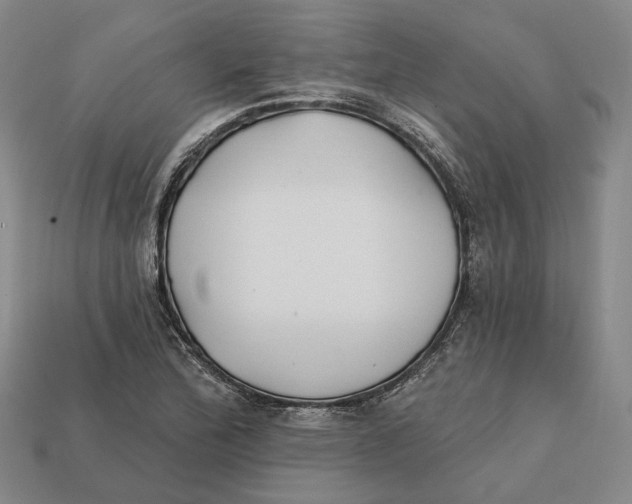 X0000112431172200909111024
