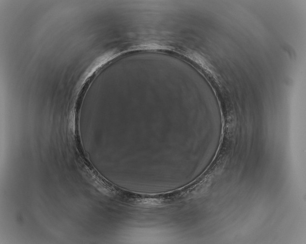 X0000112431173200909111024