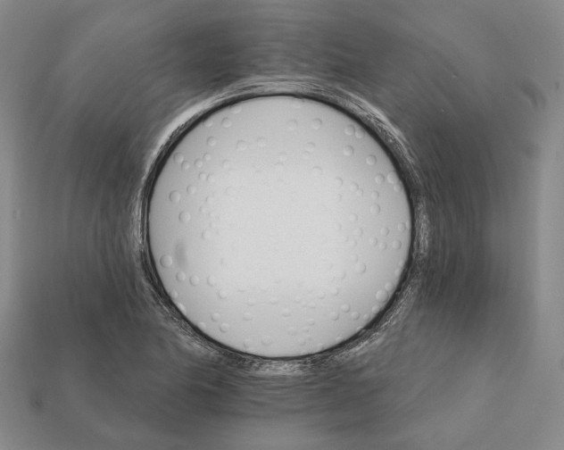 X0000112431174200909111024