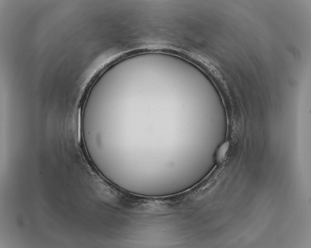X0000112431175200909111024