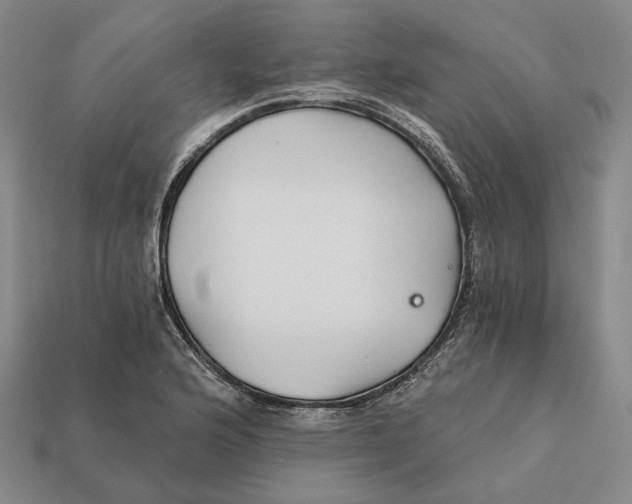 X0000112431176200909111024
