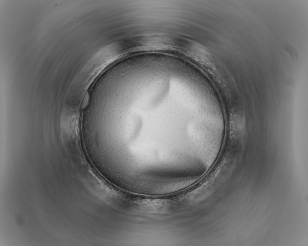 X0000112431177200909111024