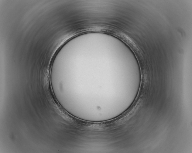 X0000112431178200909111024