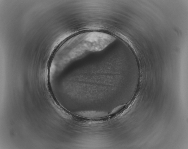X0000112431179200909111024