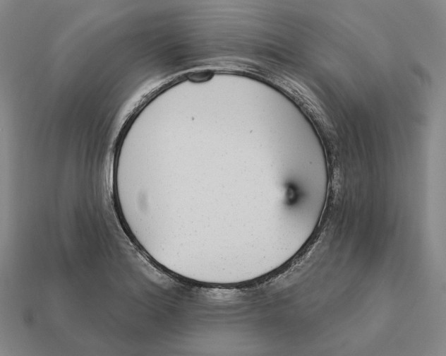 X0000112431180200909111024