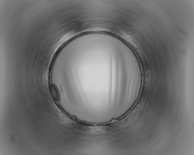 X0000112431181200909111024