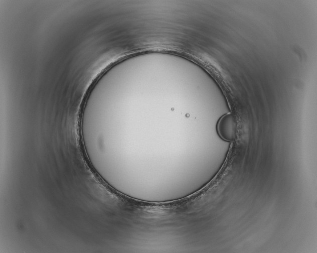 X0000112431182200909111024