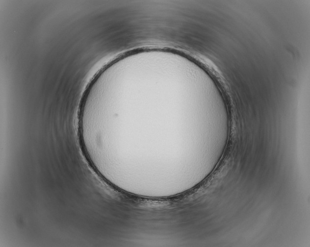 X0000112431183200909111024