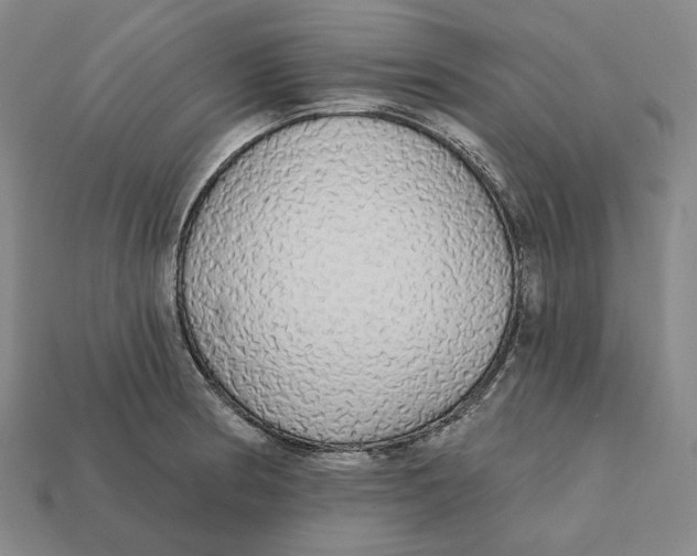 X0000112431186200909111024