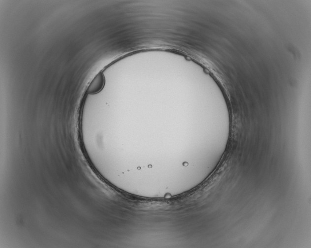 X0000112431187200909111024