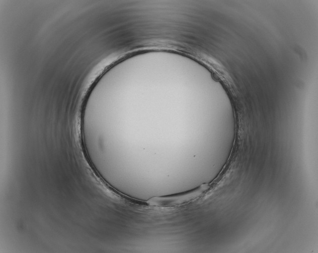X0000112431188200909111024