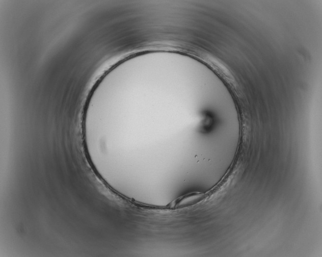 X0000112431192200909111024