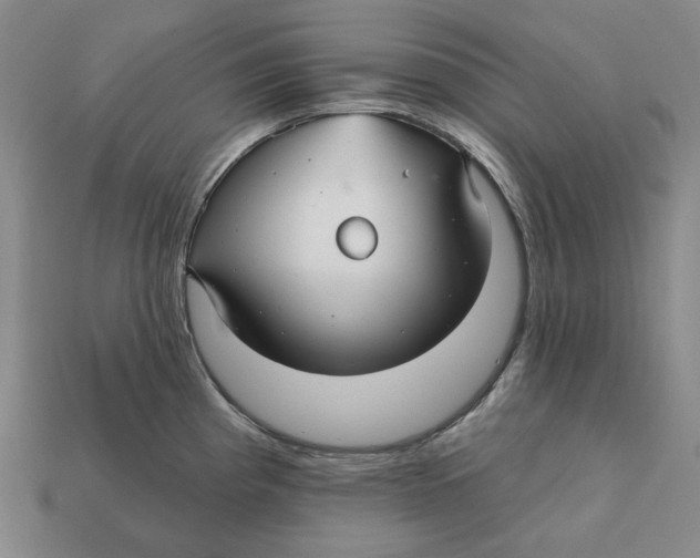 X0000112431193200909111024