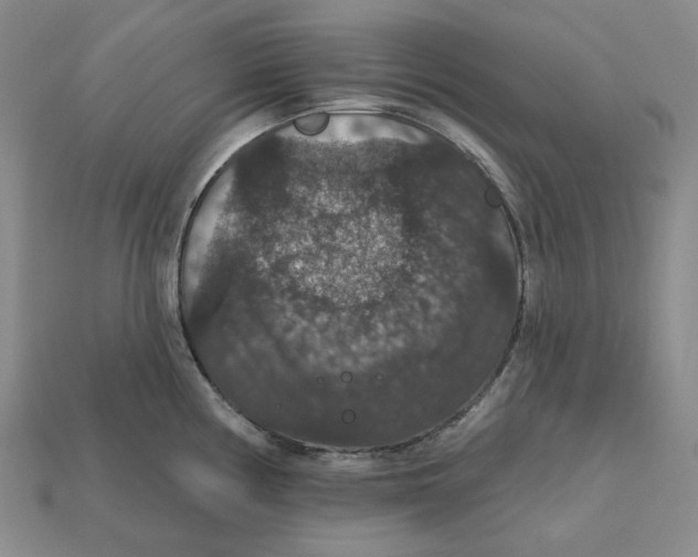 X0000112431194200909111024